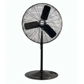 Pedestal Fan